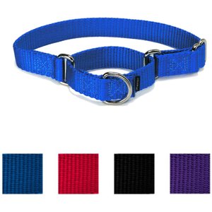 PetSafe Nylon Martingale Dog Collar, Royal Blue, Medium: 10 to 16-in neck, 3/4-in wide