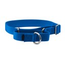 PetSafe Nylon Martingale Dog Collar, Royal Blue, Medium: 10 to 16-in neck, 1-in wide