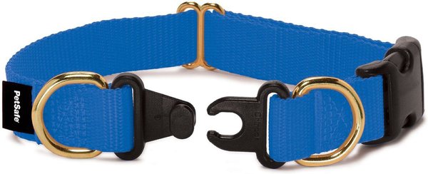 PetSafe Keep Safe Nylon Breakaway Dog Collar, Royal Blue, Medium: 14 to 20-in neck, 1-in wide slide 1 of 5