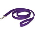 PetSafe Premier Nylon Dog Leash, Purple, 6-ft long, 1-in wide
