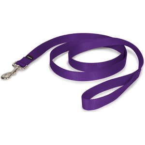 PetSafe Premier Nylon Dog Leash, Purple, 6-ft long, 1-in wide