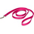 PetSafe Premier Nylon Dog Leash, Raspberry, 6-ft long, 3/4-in wide