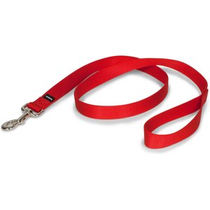 PetSafe Premier Nylon Dog Leash, Red, 4-ft long, 1-in wide