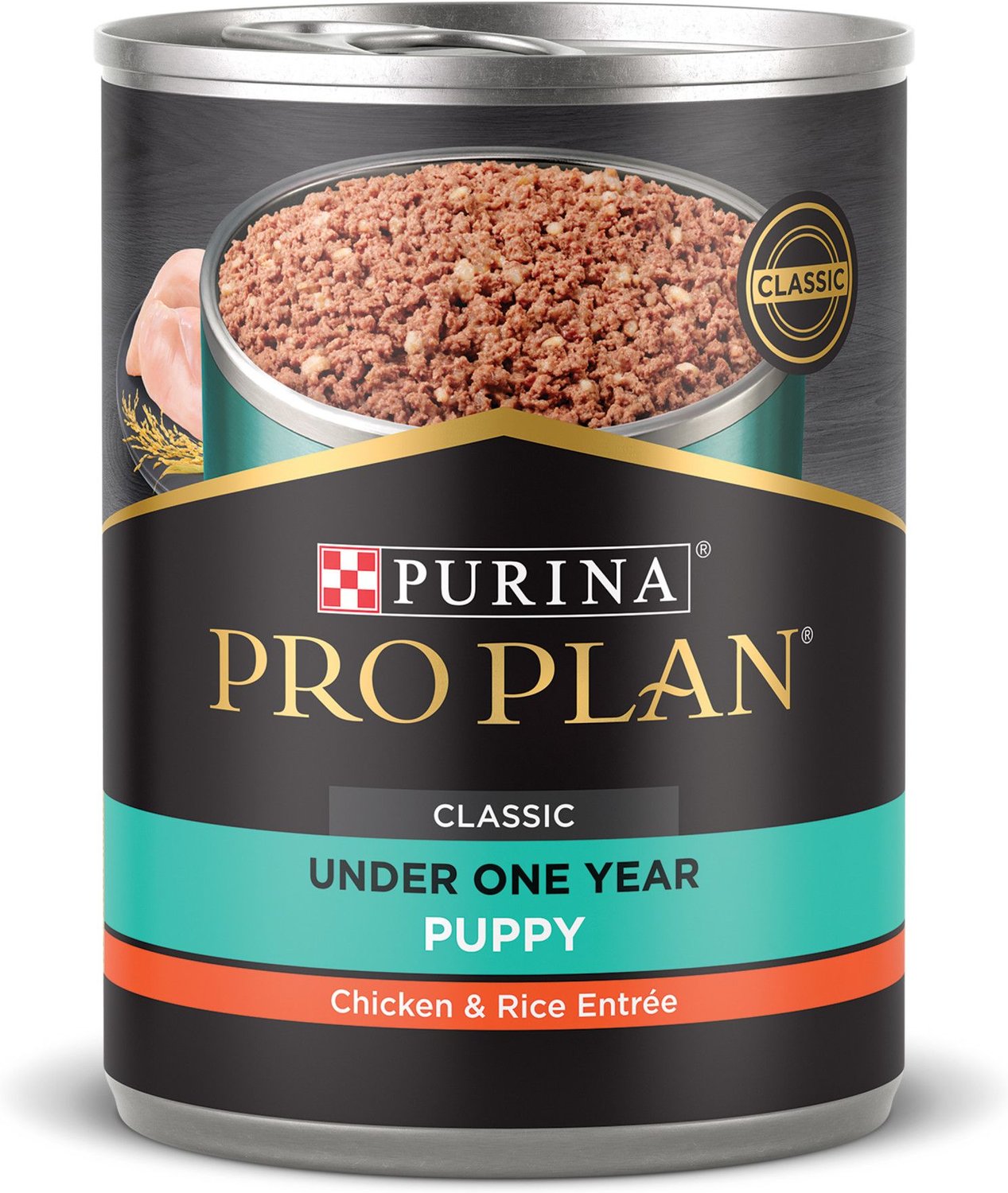 Purina Pro Plan Focus Puppy Classic Chicken Rice Entree Canned Dog Food 13 Oz Case Of 12 Chewy Com