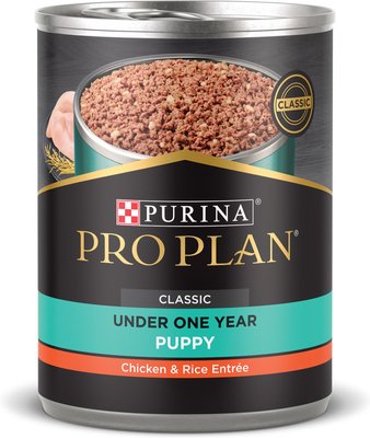 7. Purina Pro Plan Focus Puppy Classic Chicken & Rice Entree Canned Dog Food