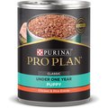 Purina Pro Plan Development Puppy Chicken & Rice Entree Canned Dog Food, 13-oz, case of 12