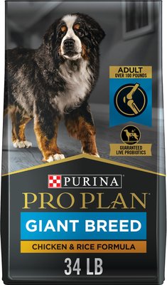 purina pro plan focus giant breed