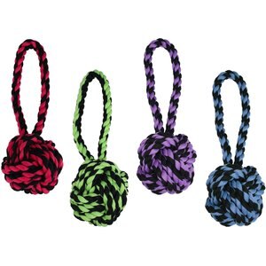 Multipet Nuts for Knots Heavy Duty Rope with Tug Dog Toy, Color Varies, Small