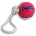 Planet Dog Orbee-Tuff Fetch Ball with Rope Tough Dog Chew Toy, Pink