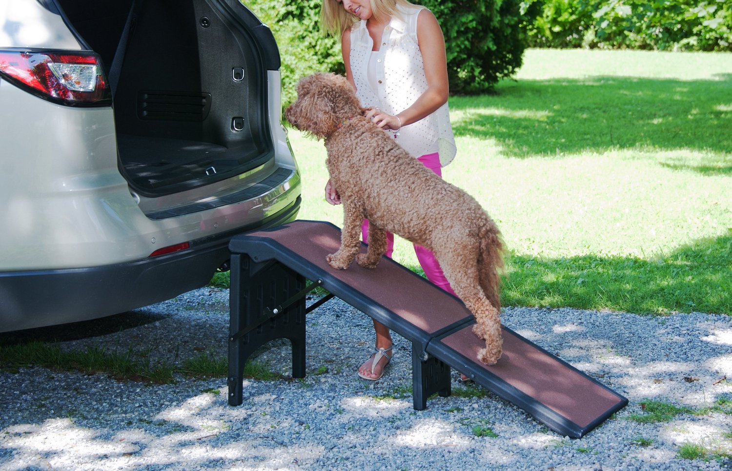 extra wide pet ramps for dogs