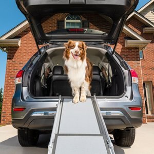 PetSafe Happy Ride Telescoping Dog Car Ramp, Regular