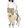 PetSafe CareLift Rear Handicapped Support Dog Harness, Large