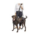 PetSafe CareLift Handicapped Support Dog Harness, Large