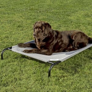 Coolaroo Steel-Framed Elevated Dog Bed, Grey, Large