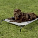 Coolaroo Steel-Framed Elevated Dog Bed, Grey, Large