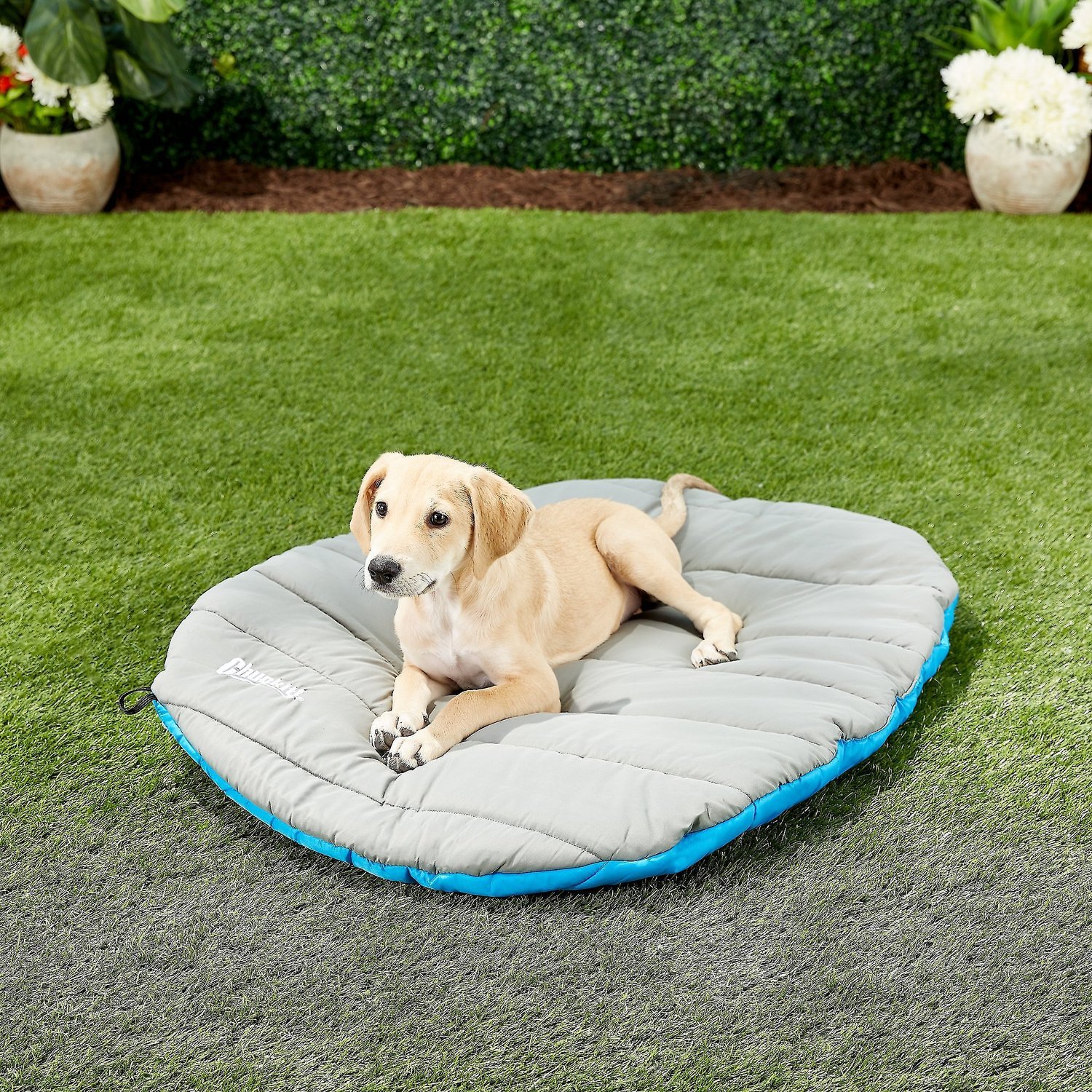 Chuckit! Travel Pillow Dog Bed | Chewy 