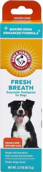 Arm & Hammer Fresh Breath Chicken Flavored Enzymatic Dog Toothpaste, 2.5-oz tube slide 1 of 6