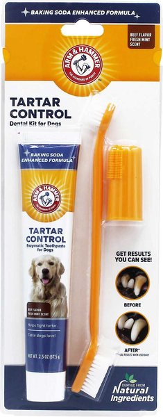 Arm & Hammer Tartar Control Beef Flavored Enzymatic Dog Dental Kit slide 1 of 6