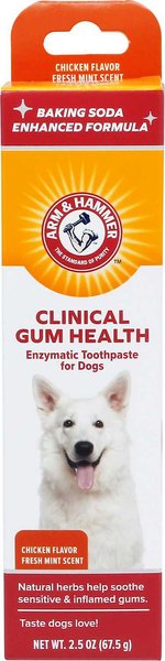 Arm & Hammer Clinical Gum Health Chicken Flavored Enzymatic Dog Toothpaste, 2.5-oz tube slide 1 of 7