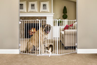 hardware mounted baby gate with pet door