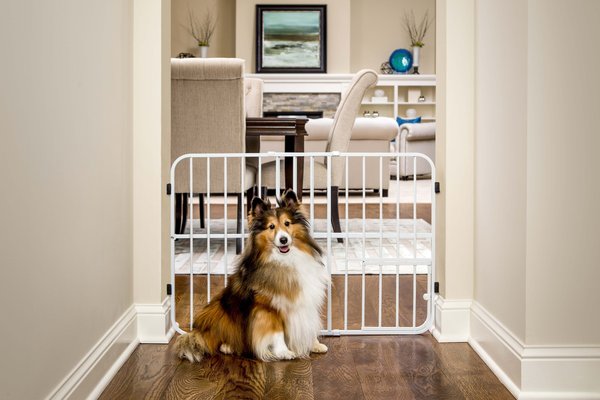 Carlson Pet Products Tuffy Expandable Gate with Pet Door slide 1 of 5