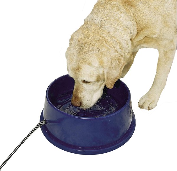 K&H Pet Products Thermal-Bowl Plastic Dog & Cat Bowl, 96-oz slide 1 of 11