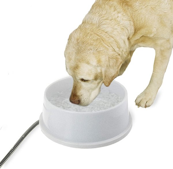 K&H Pet Products Thermal-Bowl Plastic Dog & Cat Bowl, 192-oz slide 1 of 10