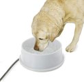 K&H Pet Products Thermal-Bowl Plastic Dog & Cat Bowl, 192-oz
