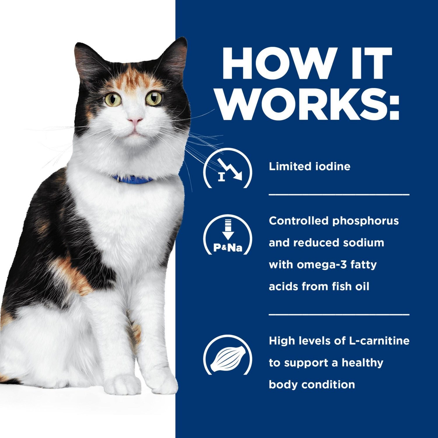 Hill's Prescription Diet y/d Thyroid Care Original Dry Cat ...