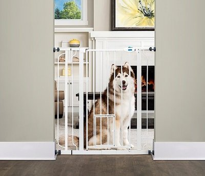Carlson Pet Products Extra Tall Walk-Thru Gate with Pet Door, slide 1 of 1