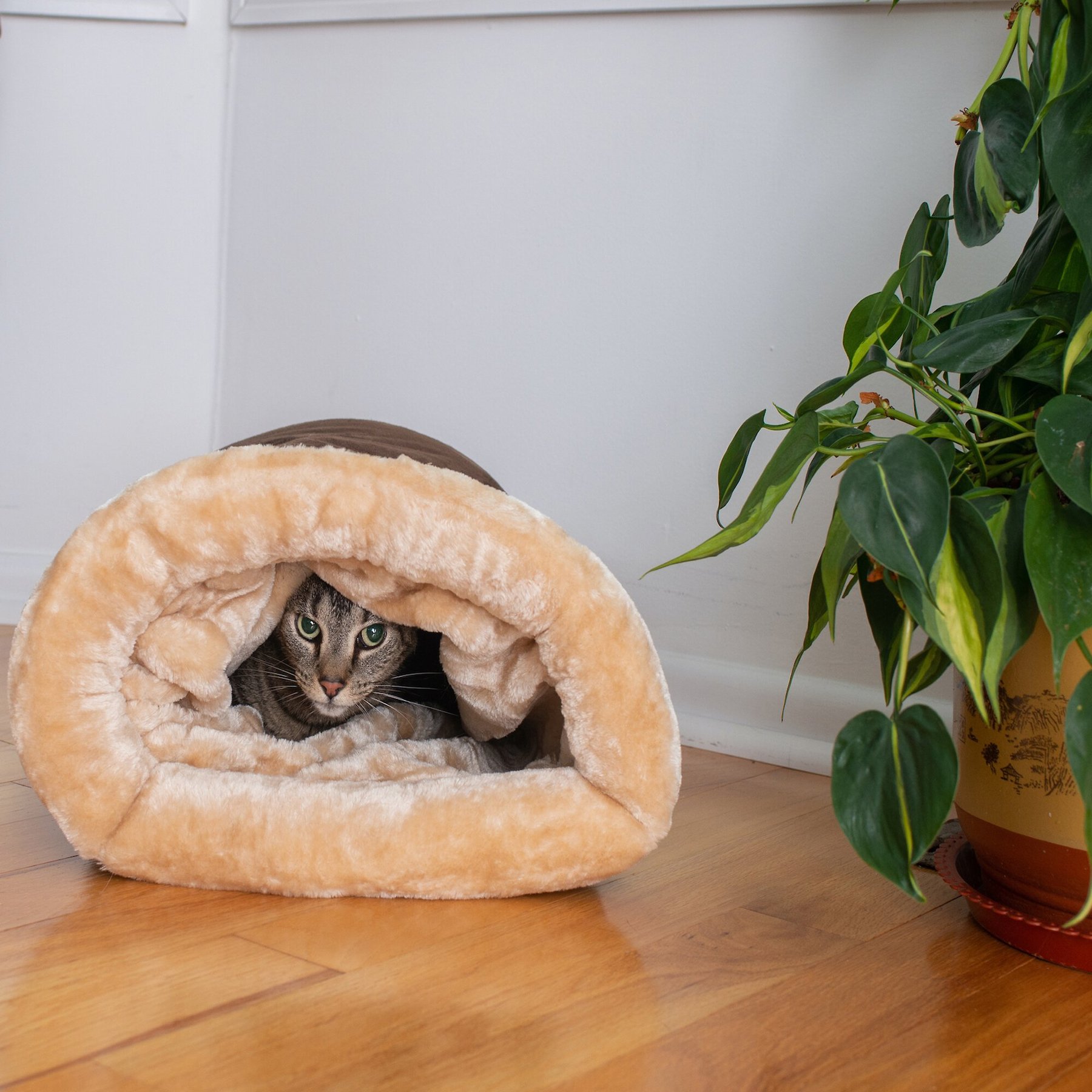 Cute print! Home made sturdy cat beds-machine washable and cats love them