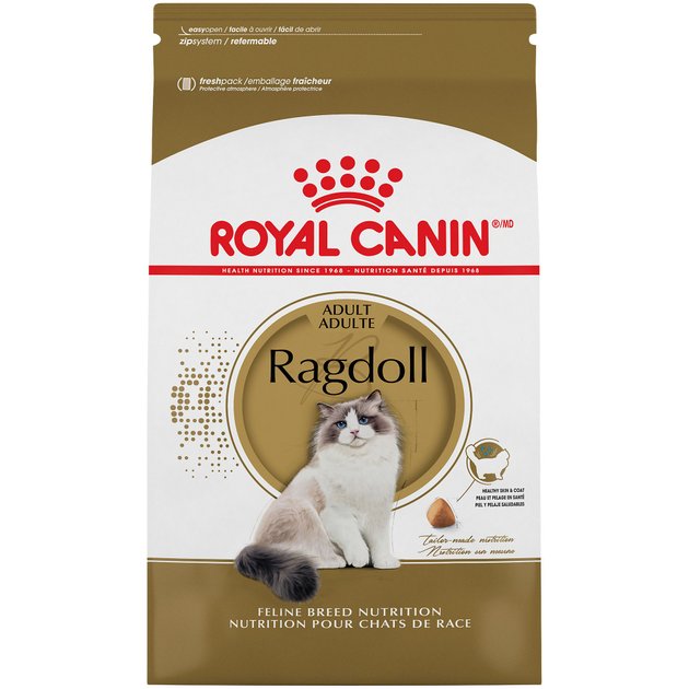 royal canin ragdoll kitten food
