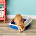 Van Ness Large Framed Cat Litter Pan