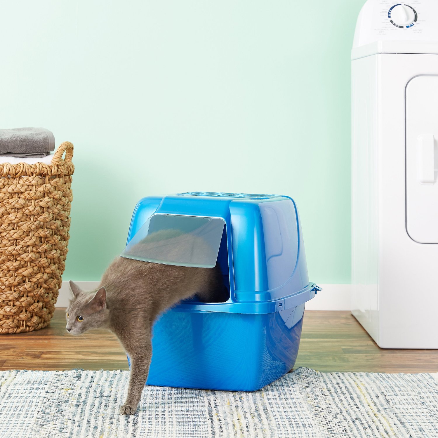The 5 Best Litter Boxes For Multiple Cats Our 1 Pick For 2020‎
