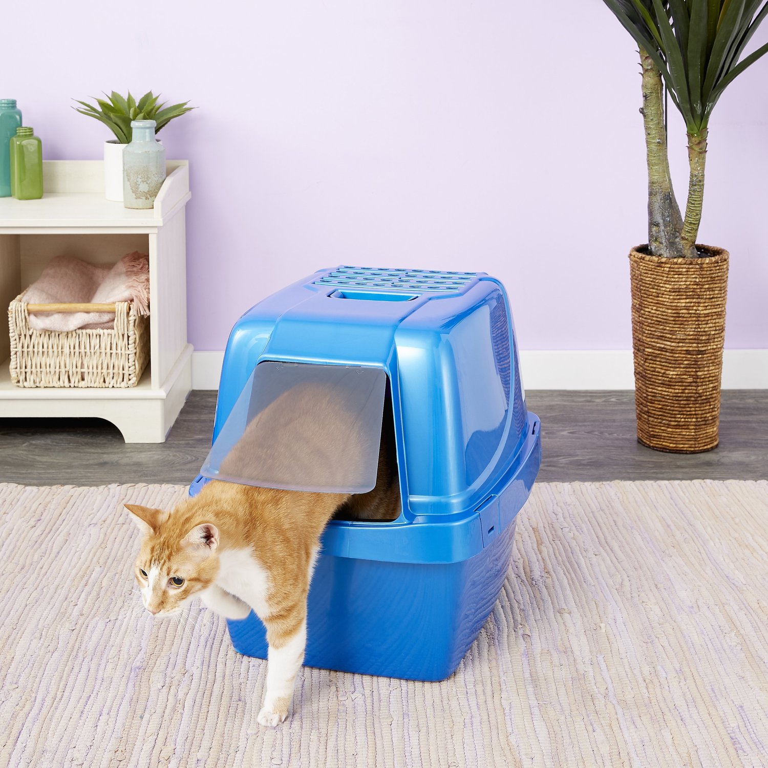 enclosed sifting cat litter box