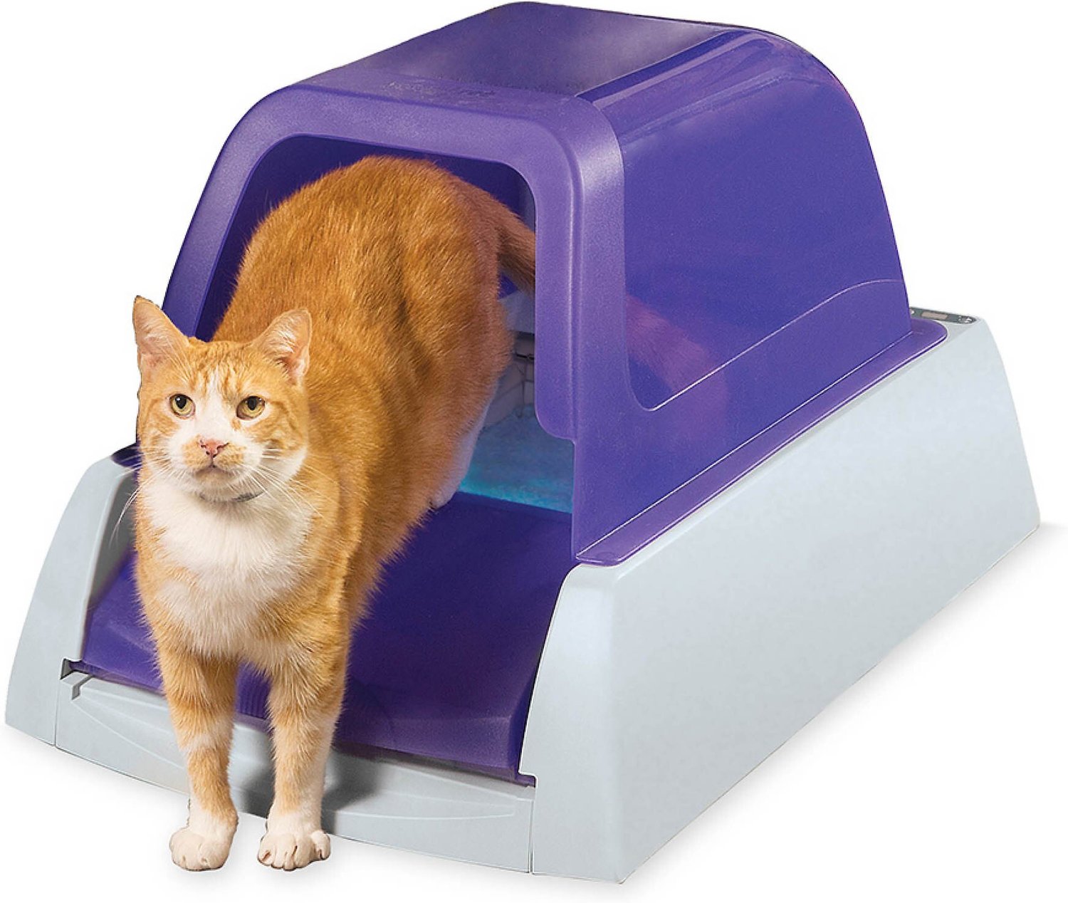 ScoopFree Ultra Automatic Cat Litter Box, Purple