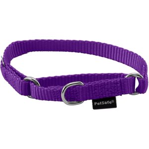 PetSafe Nylon Martingale Dog Collar, Deep Purple, Petite, 3/8-in