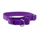 PetSafe Nylon Martingale Dog Collar, Deep Purple, Medium: 10 to 16-in neck, 1-in wide
