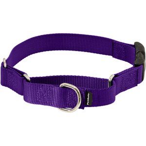 PetSafe Quick Snap Buckle Nylon Martingale Dog Collar, Deep Purple, Small: 9 to 11-in neck, 3/4-in wide