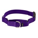 PetSafe Quick Snap Buckle Nylon Martingale Dog Collar, Deep Purple, Medium: 11 to 15-in neck, 3/4-in wide