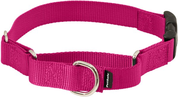 PetSafe Quick Snap Buckle Nylon Martingale Dog Collar, Raspberry, Petite: 7 to 9-in neck, 3/8-in wide slide 1 of 6