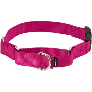 PetSafe Quick Snap Buckle Nylon Martingale Dog Collar, Raspberry, Petite: 7 to 9-in neck, 3/8-in wide