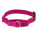 PetSafe Quick Snap Buckle Nylon Martingale Dog Collar, Raspberry, Medium: 11 to 15-in neck, 3/4-in wide