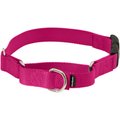 PetSafe Quick Snap Buckle Nylon Martingale Dog Collar, Raspberry, Large: 13 to 20-in neck, 1-in wide