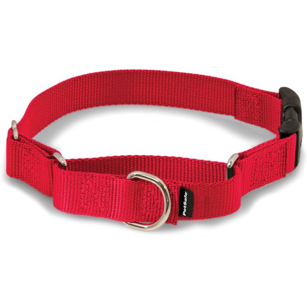 Black paws bones dog collar buckle or martingale with leash set option 