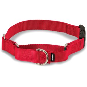 PetSafe Quick Snap Buckle Nylon Martingale Dog Collar, Red, Medium: 11 to 15-in neck, 1-in wide