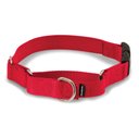 PetSafe Quick Snap Buckle Nylon Martingale Dog Collar, Red, Large: 13 to 20-in neck, 1-in wide
