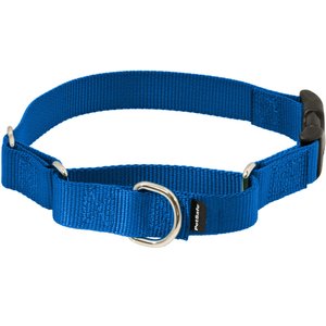 PetSafe Quick Snap Buckle Nylon Martingale Dog Collar, Royal Blue, Petite: 7 to 9-in neck, 3/8-in wide