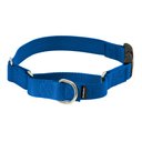 PetSafe Quick Snap Buckle Nylon Martingale Dog Collar, Royal Blue, Large: 13 to 20-in neck, 1-in wide