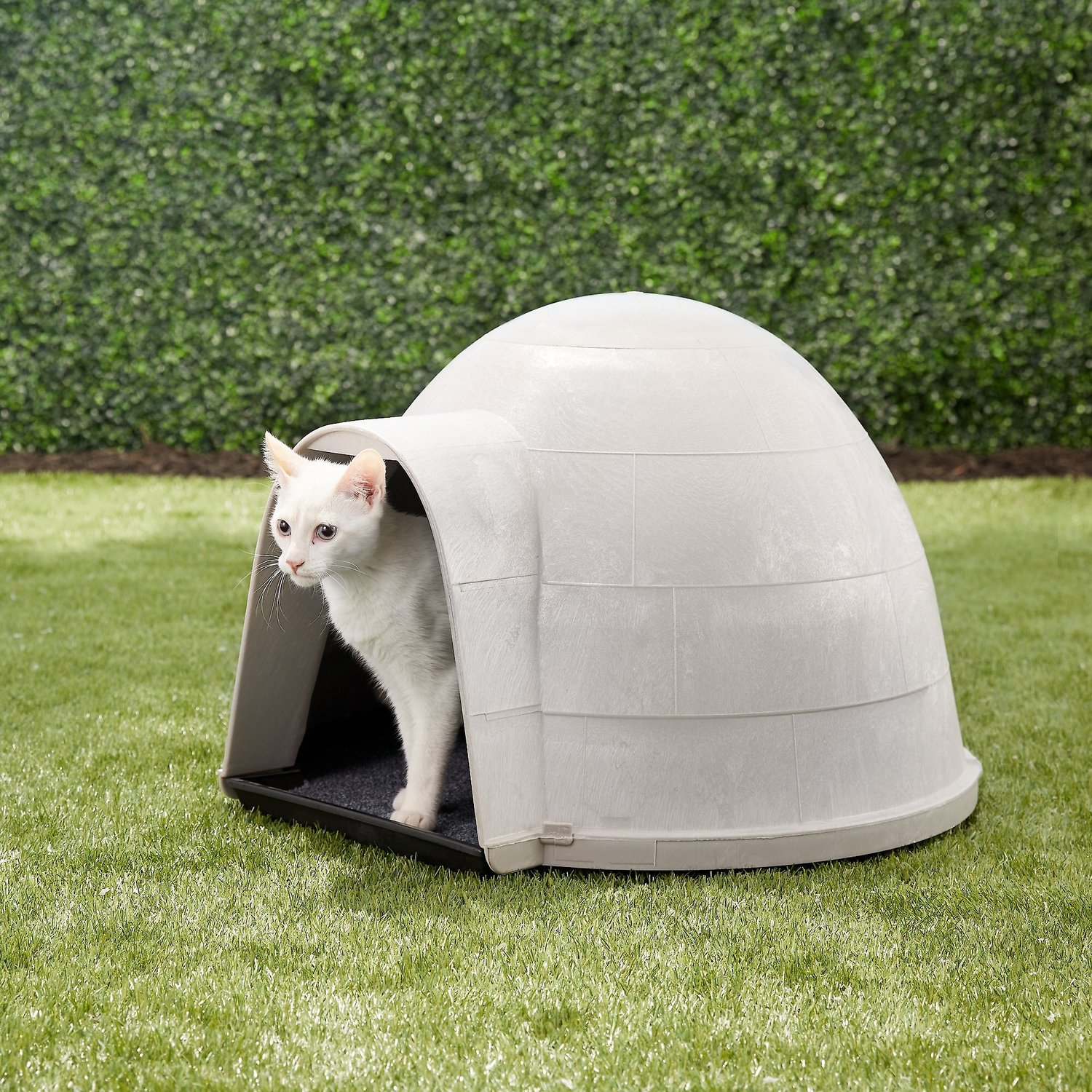 Petmate Kitty Kat Condo Outdoor Cat, Cat Igloo Outdoor House